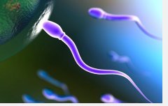 sperm retrieval